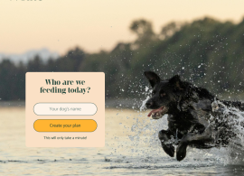 wolfie.akrosdesign.co.uk